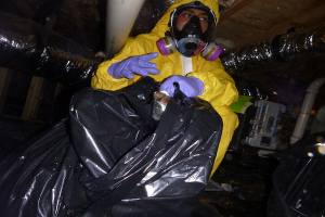 biohazard cleaning company, biohazard cleanup services, trauma cleanup company, trauma cleanup services, biohazard trauma cleanup