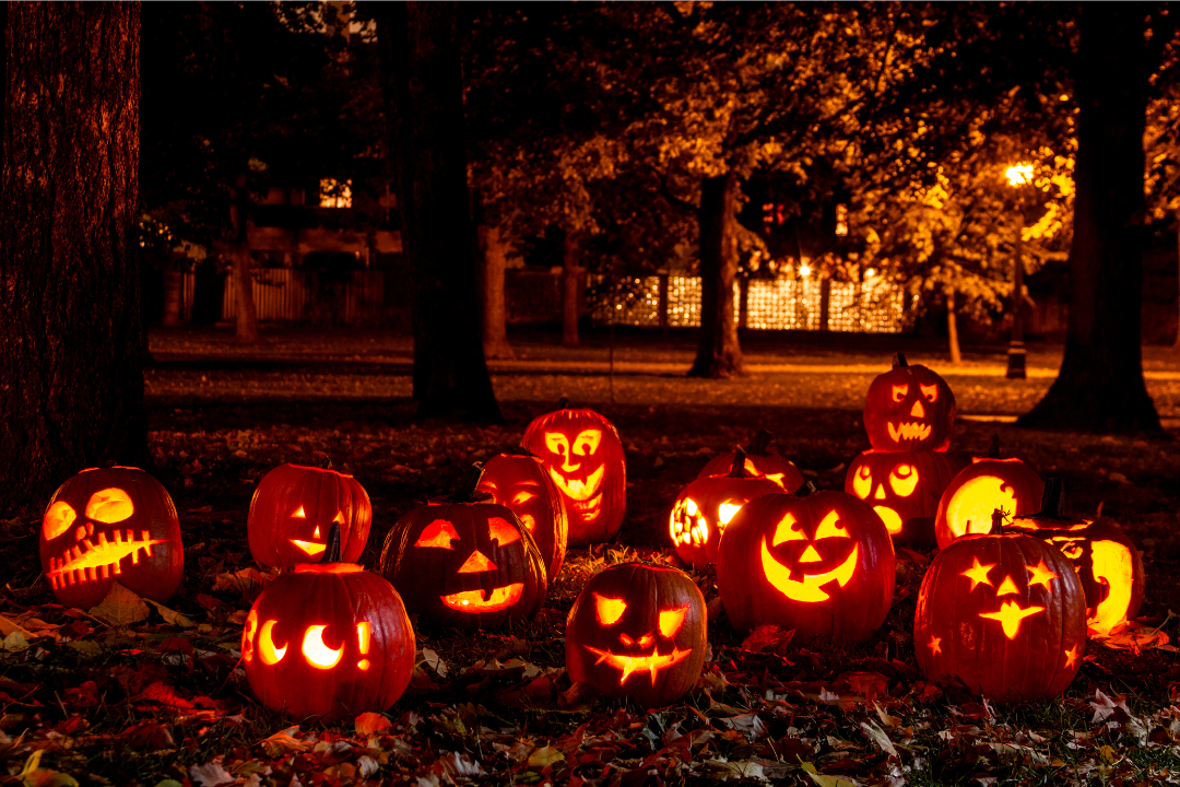 jack o lanterns scattered across the ground